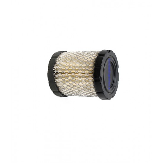 2 Filter Set für Briggs & Stratton 798897 794935 593217